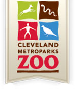 Cleveland summer camps